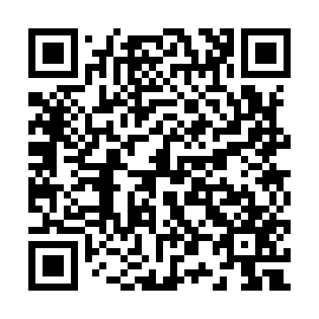 QR code for Z03957
