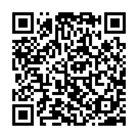 QR code for Z04391