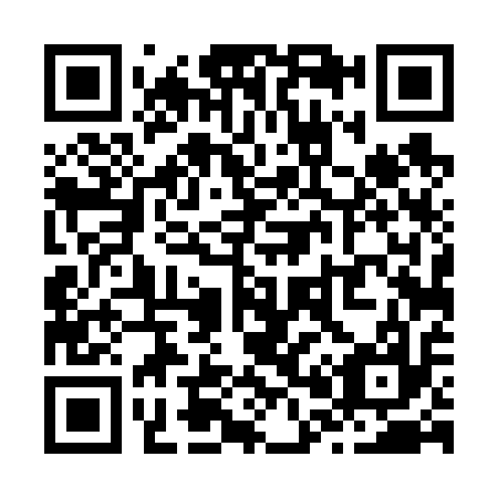 QR code for Z04617