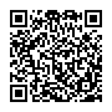 QR code for Z04996