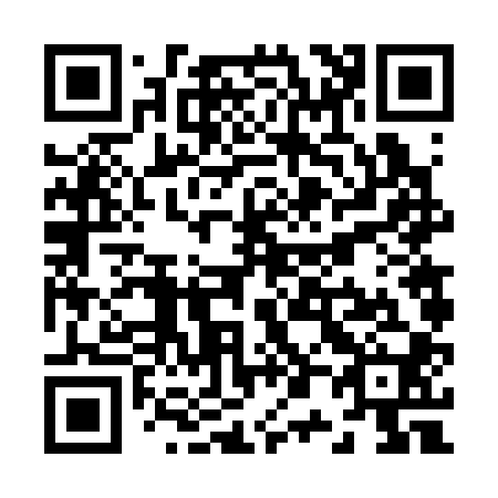 QR code for Z06300