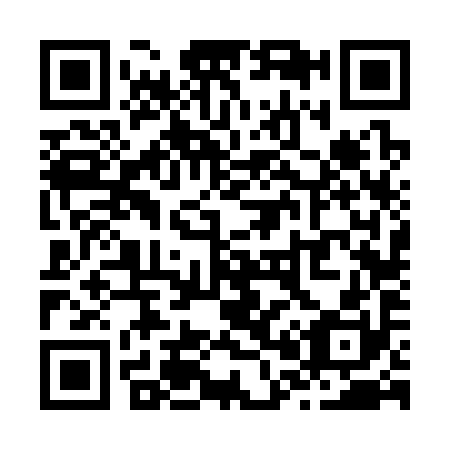 QR code for Z06390