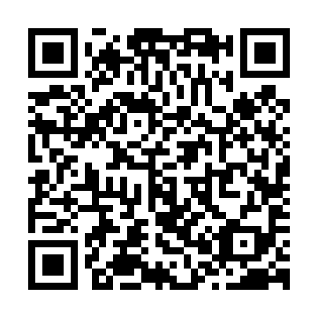 QR code for Z06499