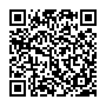 QR code for Z06594