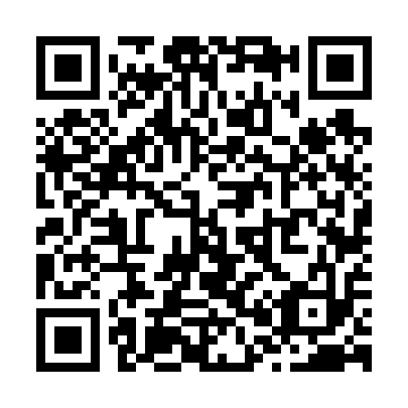 QR code for Z06613