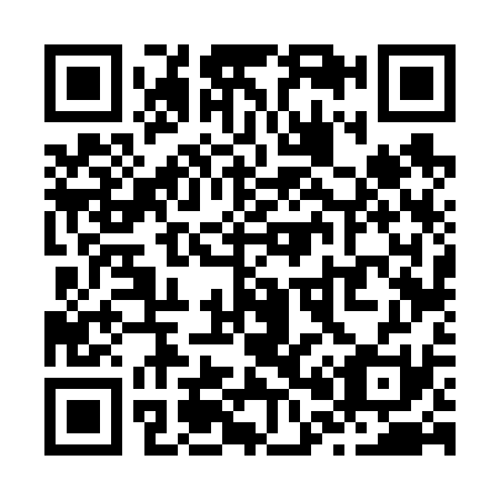 QR code for Z06631