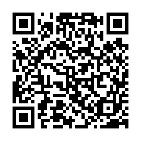 QR code for Z06653