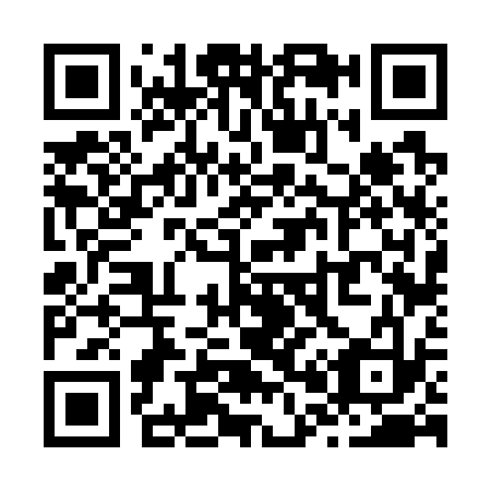 QR code for Z06733
