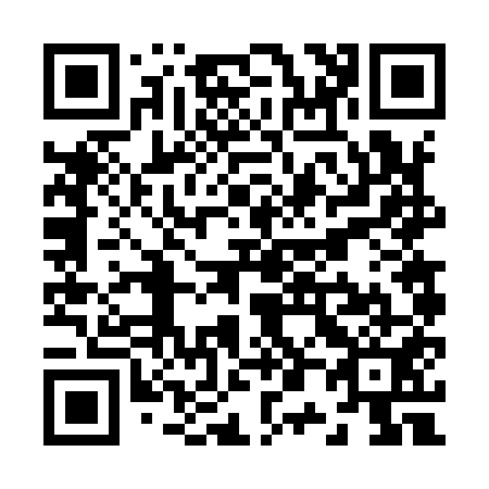 QR code for Z06951