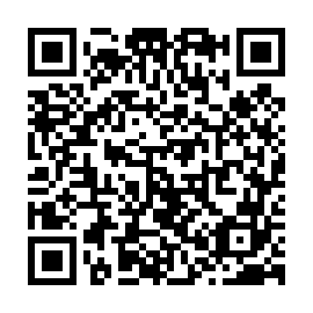 QR code for Z07462