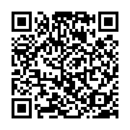 QR code for Z07539