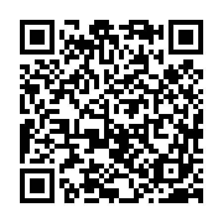 QR code for Z08463
