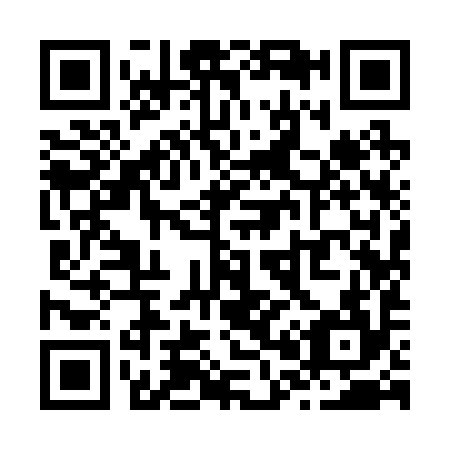 QR code for Z09294