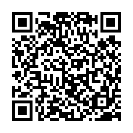 QR code for Z09612