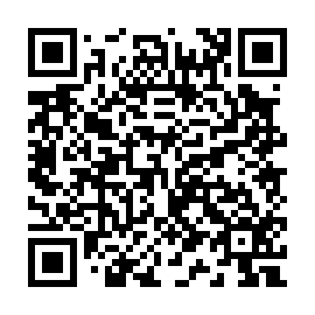 QR code for Z10016
