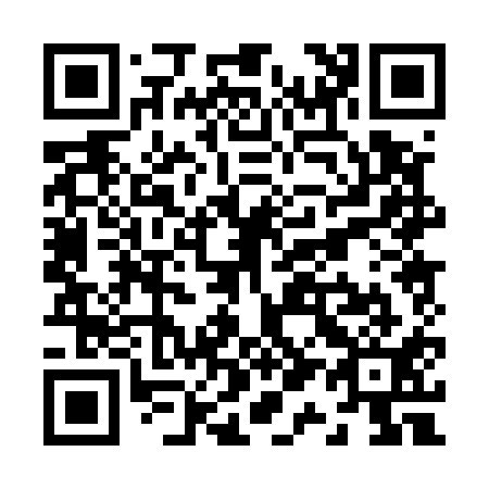 QR code for Z10511