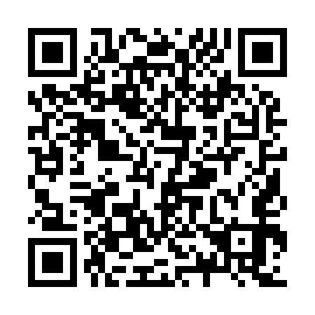 QR code for Z11953