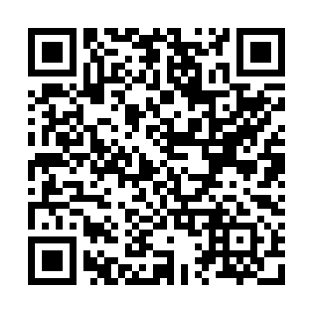 QR code for Z12291