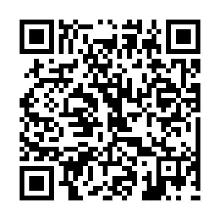 QR code for Z12385