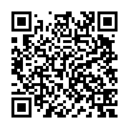 QR code for Z12439