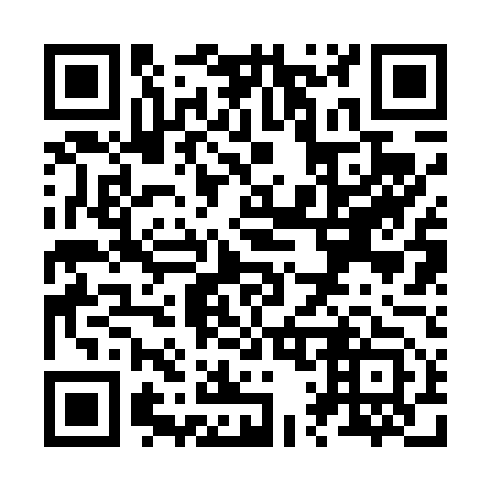 QR code for Z12453
