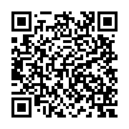 QR code for Z12505