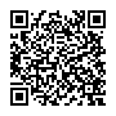 QR code for Z12509