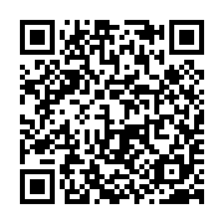QR code for Z13095