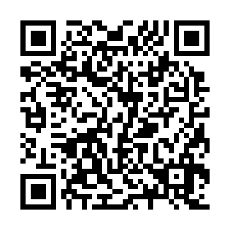 QR code for Z13336