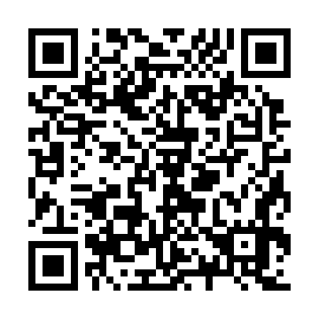 QR code for Z13377