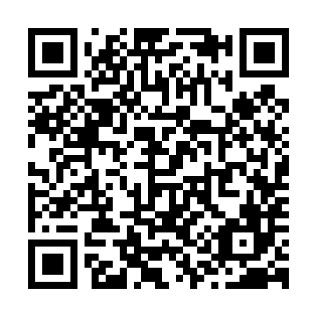 QR code for Z13486