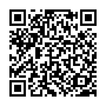 QR code for Z13809