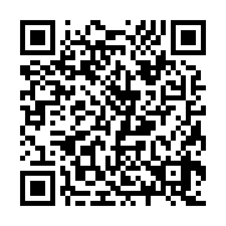 QR code for Z13838
