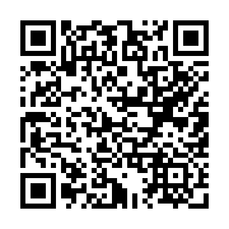 QR code for Z15333