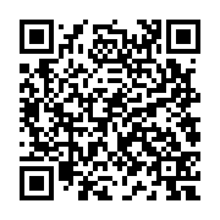 QR code for Z16133