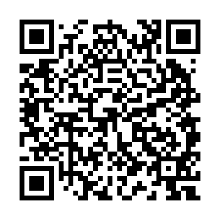 QR code for Z16291