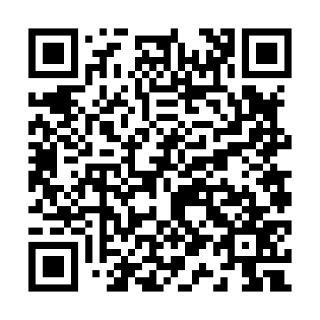QR code for Z16877