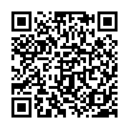 QR code for Z17111