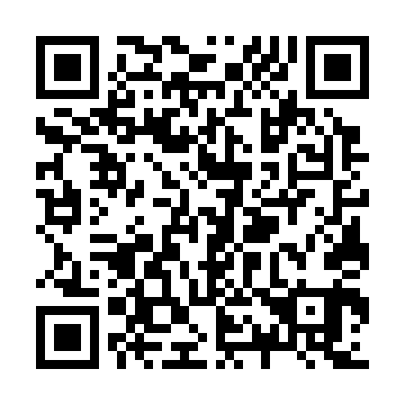 QR code for Z17341