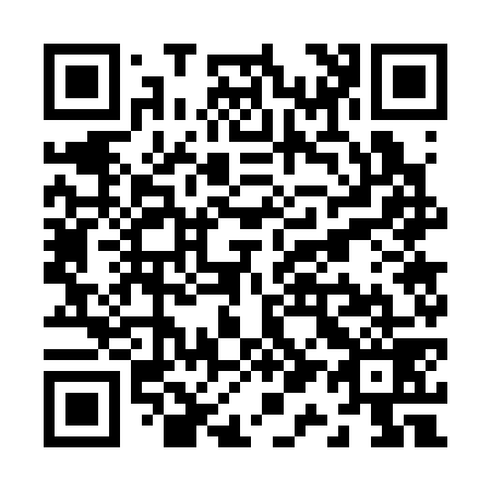 QR code for Z17379
