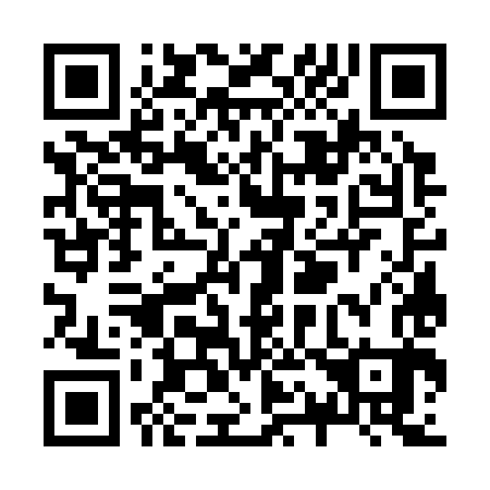 QR code for Z17383