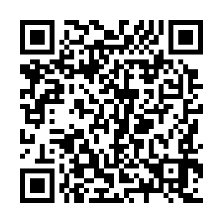 QR code for Z18393