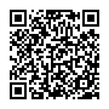 QR code for Z18607