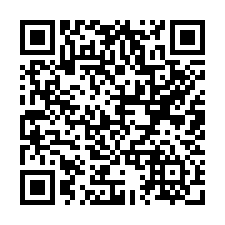 QR code for Z19334