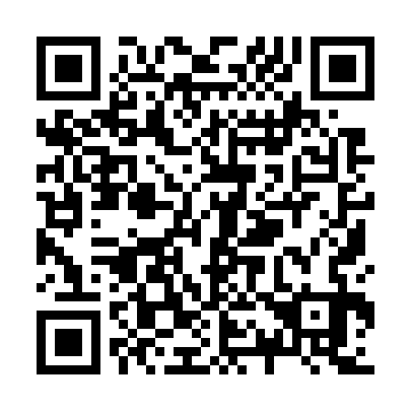 QR code for Z19733