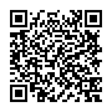 QR code for Z19838