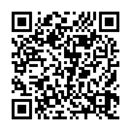 QR code for Z19968