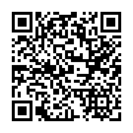QR code for Z20307