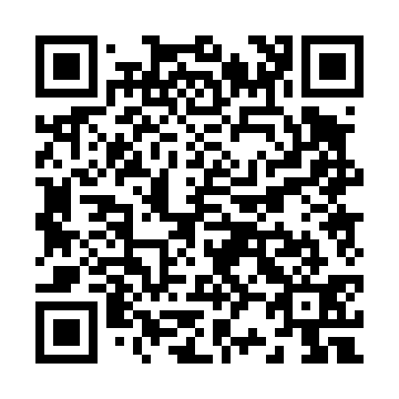 QR code for Z20431