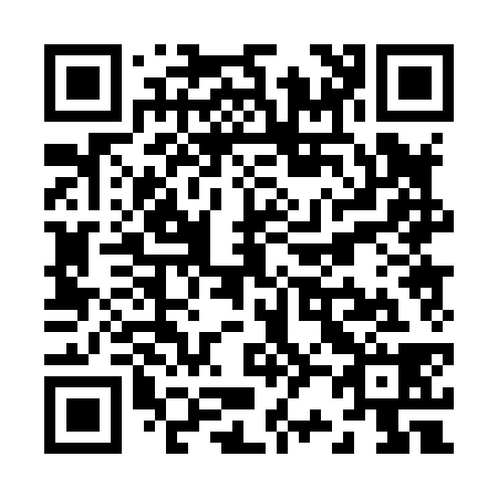 QR code for Z20838